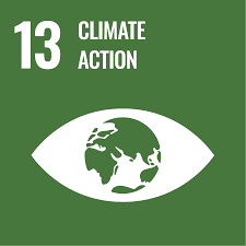 Sustainable Development Goal 13 Climate Action
