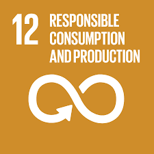 Sustainable Development Goal 12 Responsible Consumption and Production